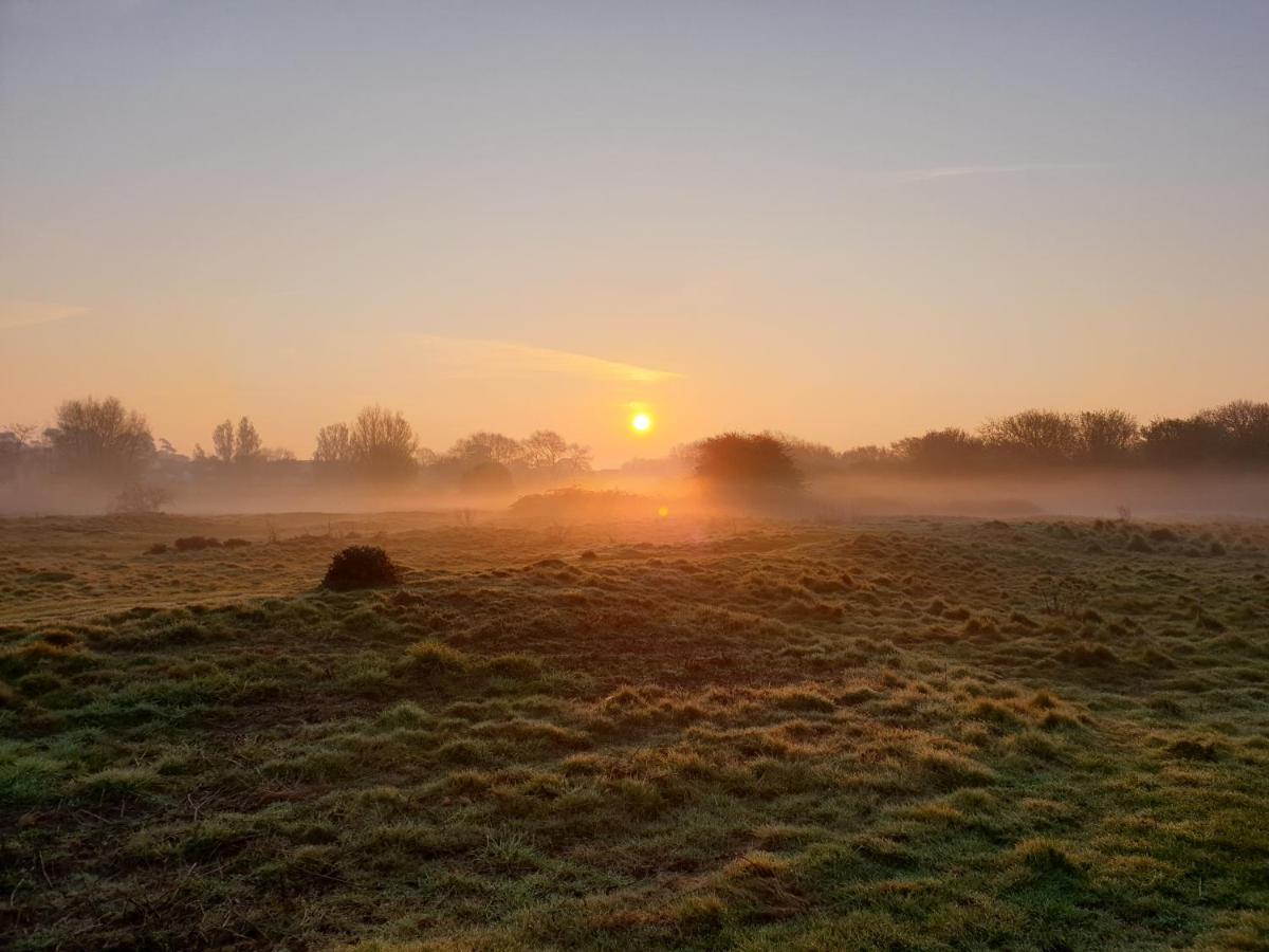 Lions Lodge: Great Location With Hot Tub Ringwood Buitenkant foto